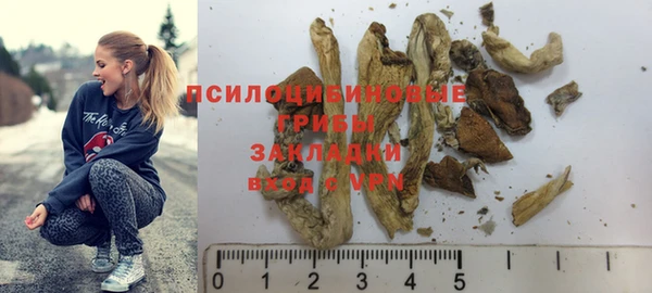 трава Каменка