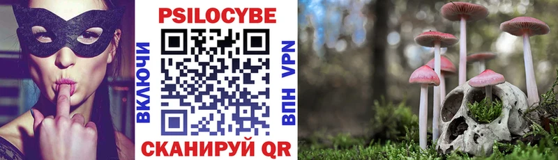 Купить закладки  Канаш  Галлюциногенные грибы Psilocybe 