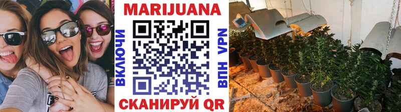 Купить закладки  Канаш  Бошки марихуана тримм 